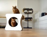 Preview: cat-on Le Cube | Kratzwürfel aus Wellpappe