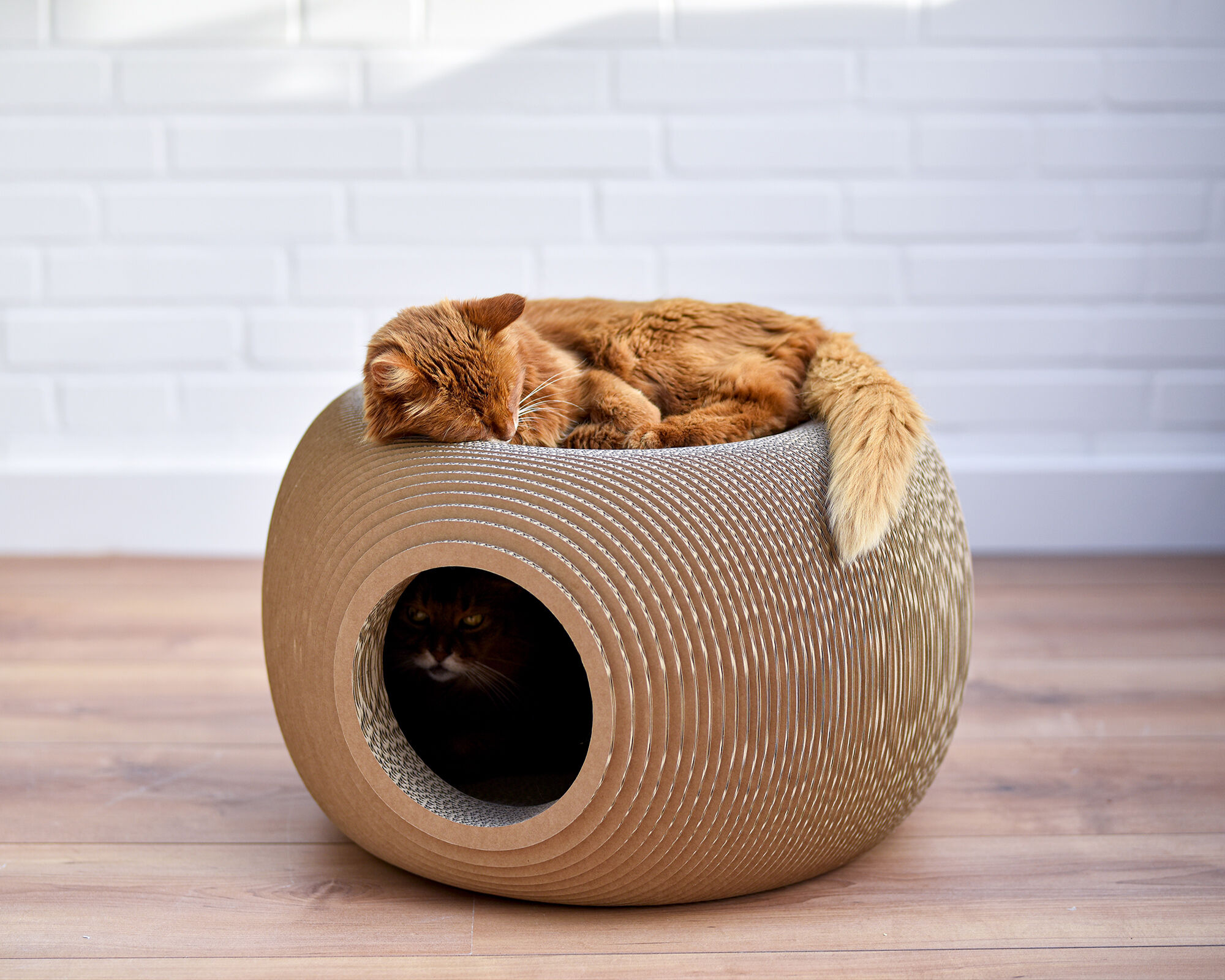 Round BILLE Cat Basket With Cat Cave