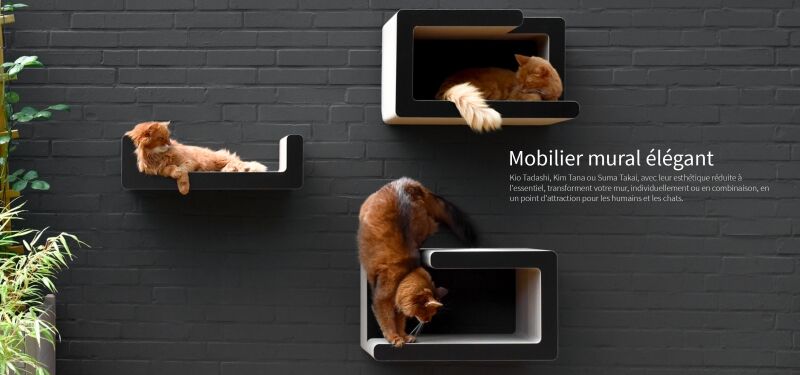 Griffoirs design pour chats & arbres à chat cat-on - qualité allemande