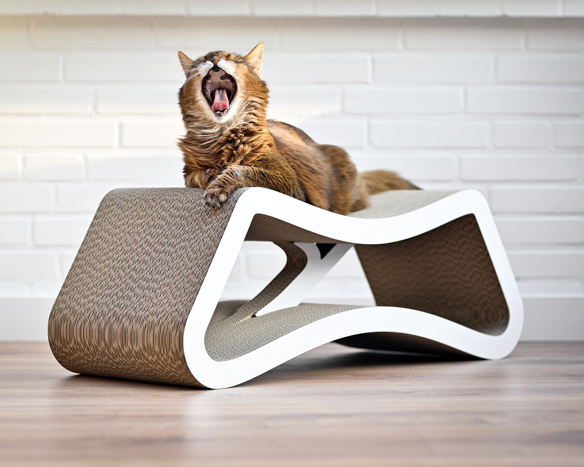 LE PONT Design Cat Furniture