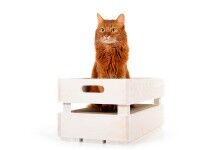 Preview: Holzkiste mit Kratzpappe - cat-on Katzenstiege S