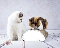 Vorschau: Weißes Kratzbrett für Katzen aus Wellpappe Le Pain