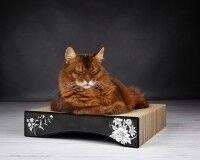 Preview: Le Moule cat scratching pad