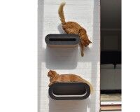 Preview: cat tree wall solutions - design cat shelves Made in Germany