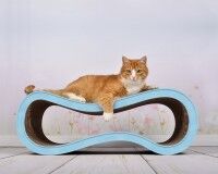 Vorschau: Multifunktionales Kratzmöbel für Katzen Singha Large in weiß uni