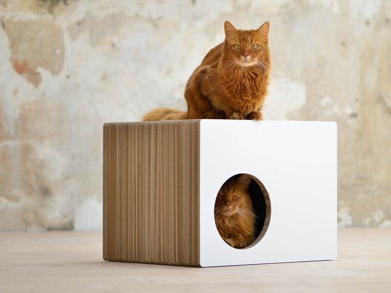 cat-on Kratzmöbel & Katzenmöbel aus Wellpappe - PhreDia Design Katzenhoehle Weiss