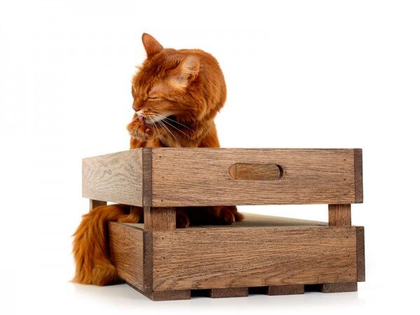 cat crate in oak-wood, oiled in walnut, combined wood and carboard scratcher for cats