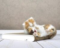 Vorschau: Kratzbrett cat-on La Planche aus Kratzpappe