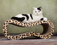 Vorschau: Design Kratzmöbel Für Katzen Singha M - schwarz-weisses Zebra-Muster