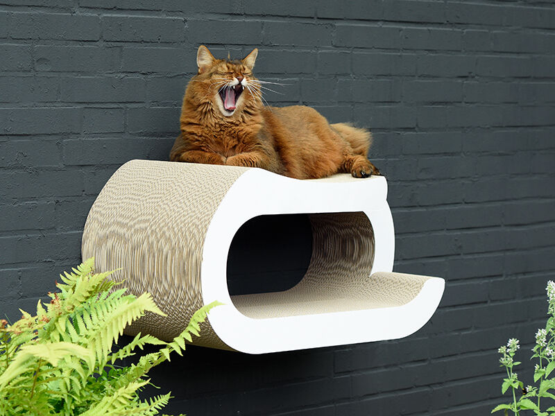LA MAITRESSE WALL-KIT cat shelf