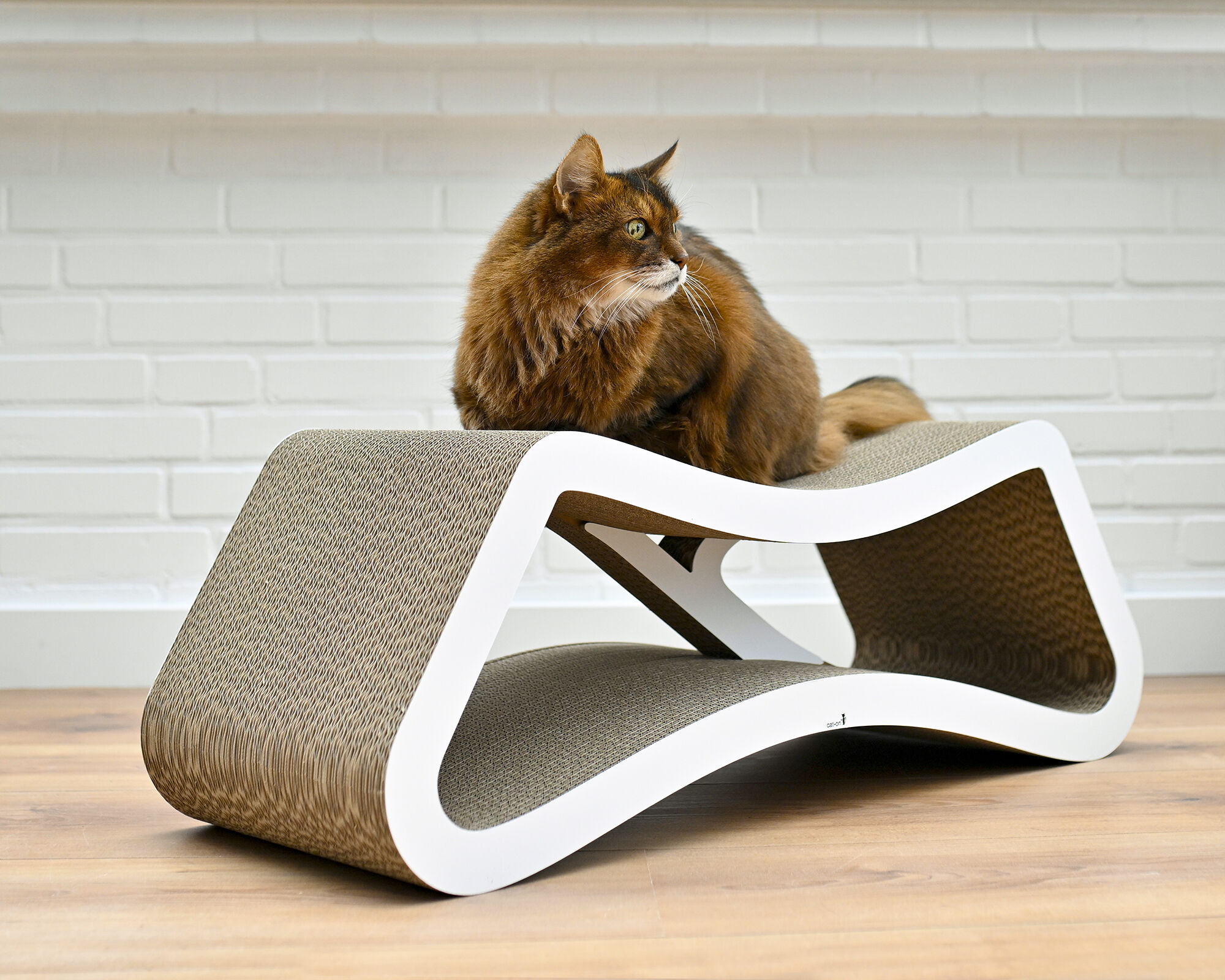 LE PONT Design Cat Furniture