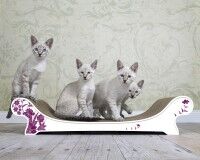 Vorschau: Kratzbrett für Katzen Le Canapé in weiß mit lila Blumen