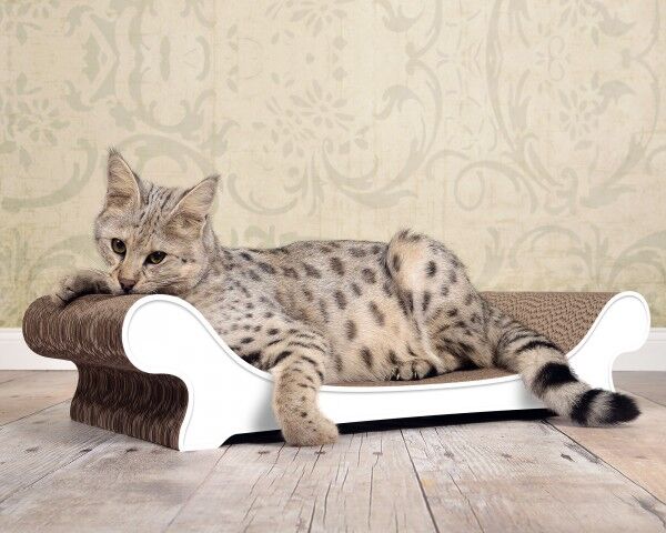 cat lounger Le Canapé in white