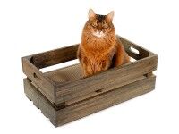 Vorschau: Holzkiste mit Kratzpappe für Katzen