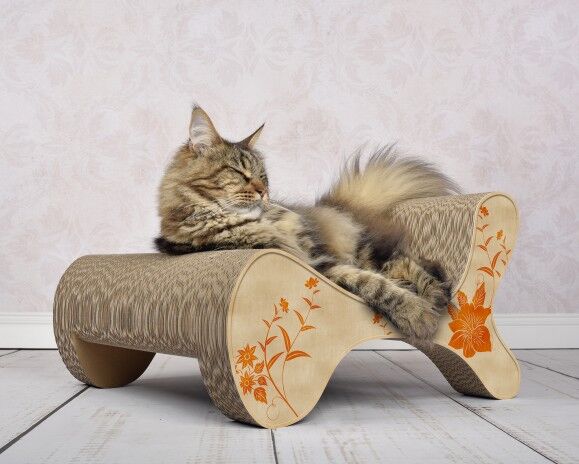 Meuble Griffoir Molecular Fauteuil Pour Chats By Cat On