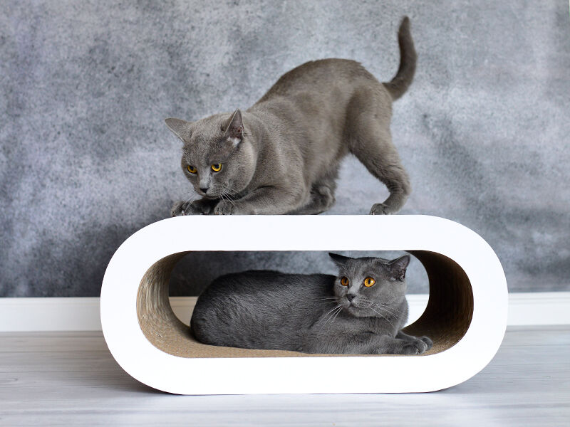 cat-on Kratzmöbel & Katzenmöbel aus Wellpappe - Design Kratzbaum Le Maitre