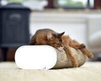 Aperçu: Griffoir en carton ondulé à chat cat-on La Banquette