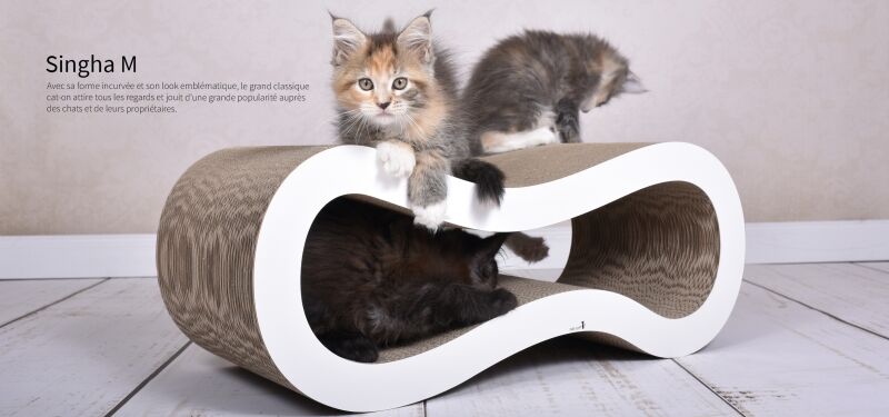 Griffoirs Design Pour Chats Arbres A Chat Cat On Qualite Allemande