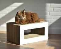 Preview: LOOP - cardboard cat scratcher in white - Made in Germany