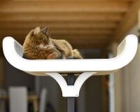 Preview: cat-on cat tree Corbeille | cat tree combined in woood and cardboard