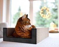 Preview: Purrfect Scratch Lounge Cat Box