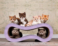 Preview: Design cat furniture Singha M in lilac