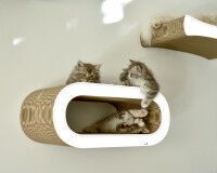 Preview: LE MAITRE WALL-KIT cat shelf