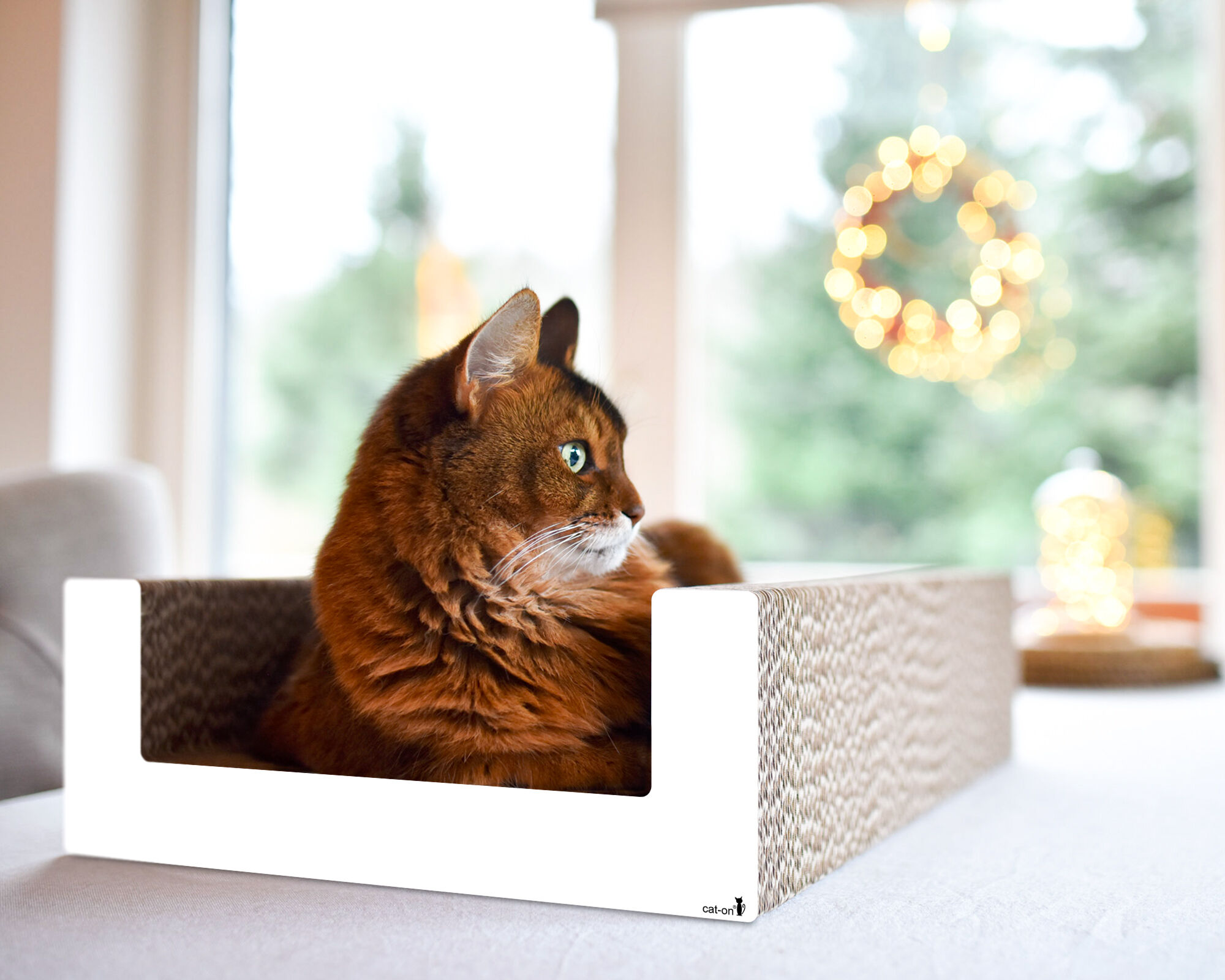 Purrfect Scratch Lounge Cat Box