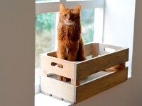 Aperçu: Holzkiste mit Kratzpappe für Katzen im Vintage Look