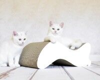 Preview: white cat scratcher Kabou Made in Germany