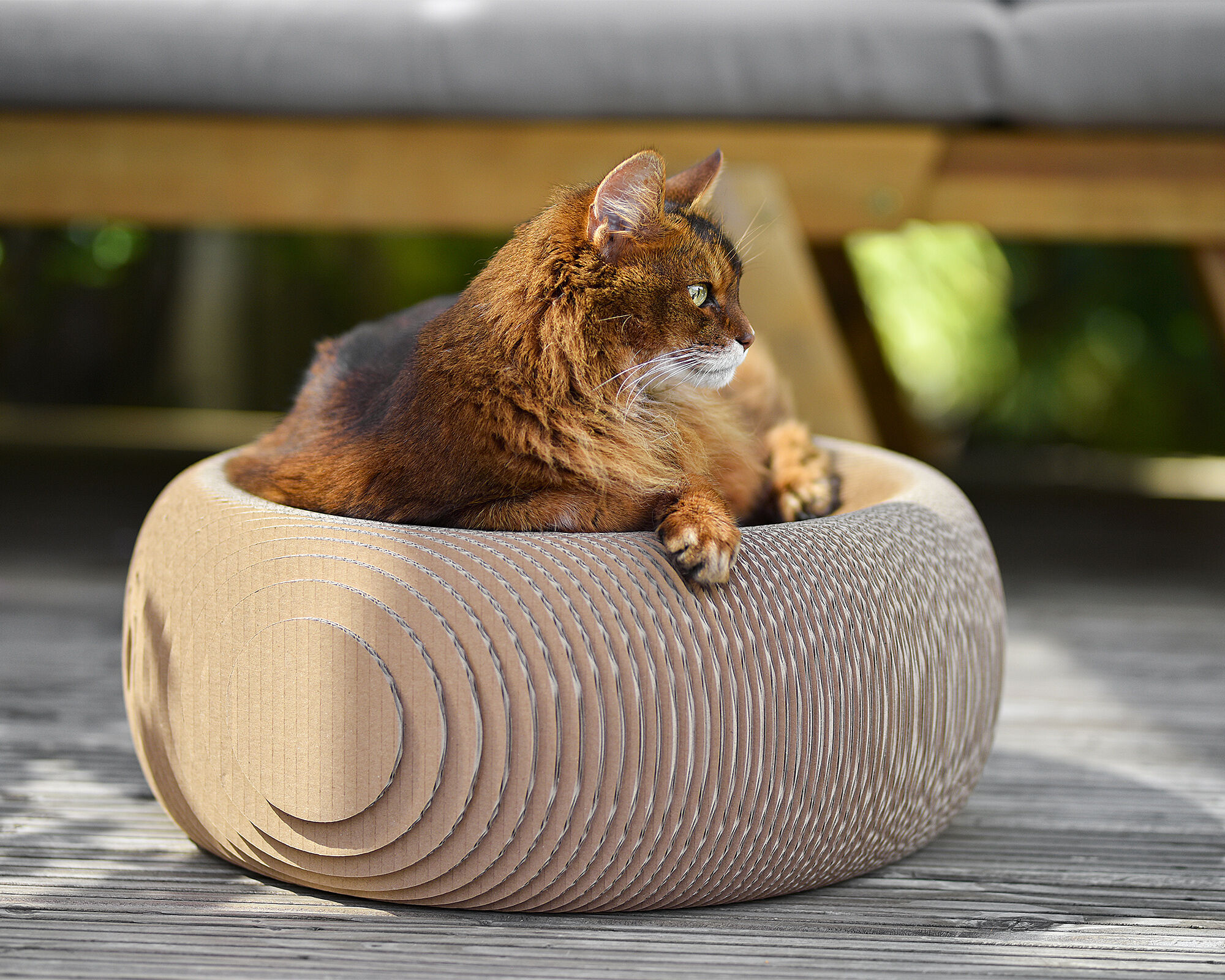 Round Cat Scratching Bowl LE PLOUFF
