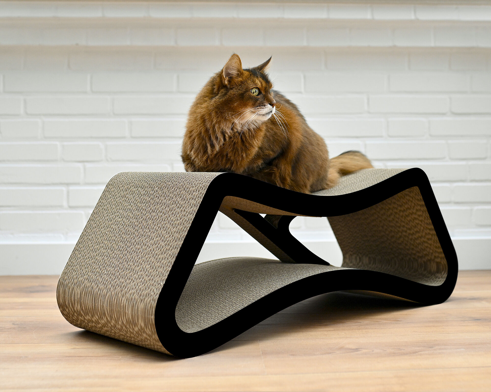 Matt schwarzes Design Katzenmöbel LE PONT aus robuster Wellpappe