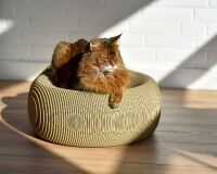 Preview: Round Cat Scratching Bowl LE PLOUFF